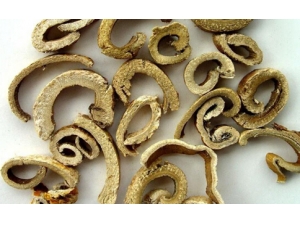 ɣ��Ƥ����ʹ������