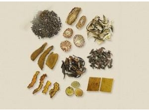 ľ��������