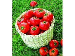 ������ô�� 10��ʳ��������Զ������ʢ