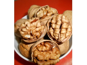 �����ʲô�� 18��ʳ�ﲹ��ǿ����ʧ��