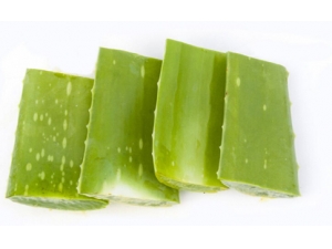 ���뱣��������̬��  ����ʳ�������