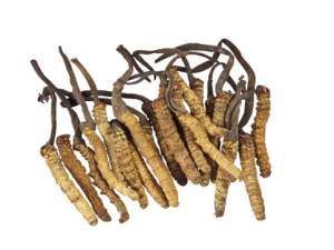 �����ѡ�����Ĳ�   ��ѡ�����Ĳݵ������׼