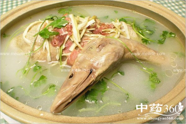 chunjiyangshengshipu