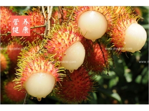 ��ë����Ӫ����ֵ����Ч ��ë���ĺô���⣡