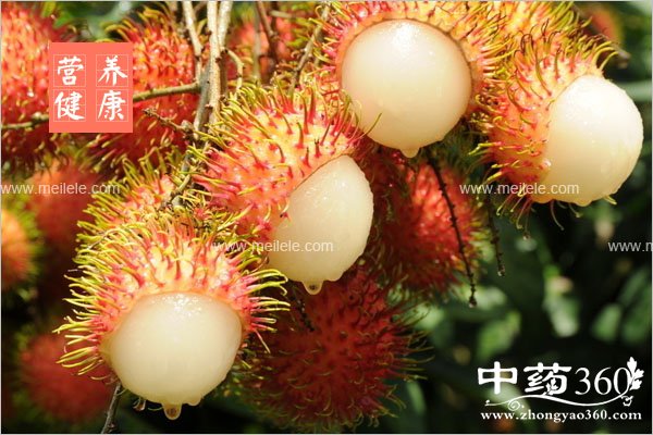 hongmaodandeyingyangjiazhi