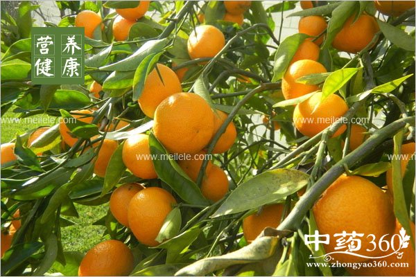 ganjudeyingyangjiazhi