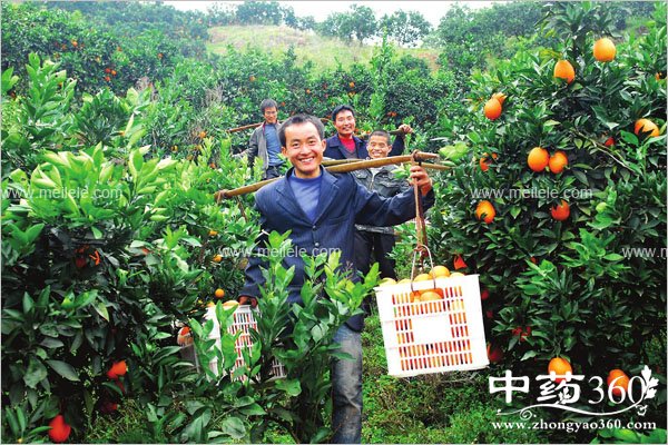 ganjudeyingyangjiazhi