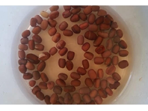 ���׷��ѻ�����������