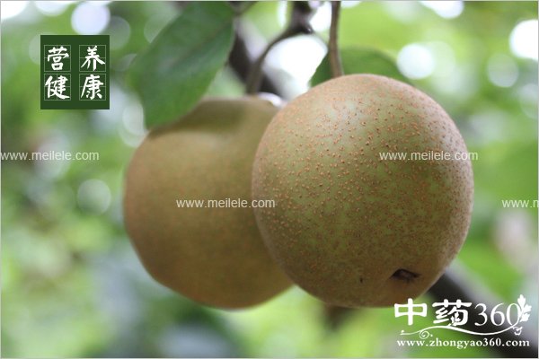 zhiliaokesoudeshiliaofangfa