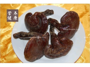 ֥ĹЧüʳ÷ ֥֪ʶר⣡