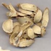 <a href='https://www.zhongyao360.com/z/huangqi/' target='_blank'>黄芪</a>