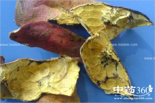 shiliupidegongxiaoyuzuoyong