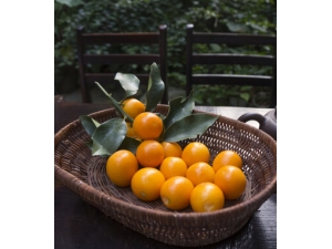 ͷм����ô�� 7��ˮ������ȥм����