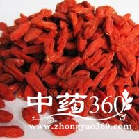 <a href='https://www.zhongyao360.com/z/gouqizi/' target='_blank'></a>