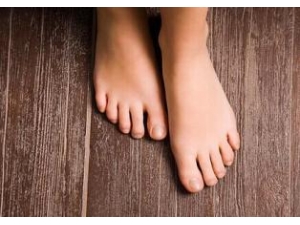 ����������ڵĺ��� ��������������ͬ���ʵ����Ʒ���