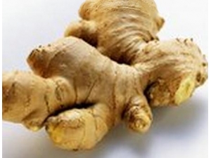 �����Ľ����Լ�ʳ�ü�ֵ