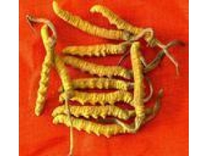 �����Ĳ�