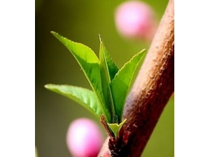 ������ô�� ���ƫ��������ٰ��Ѻ�������