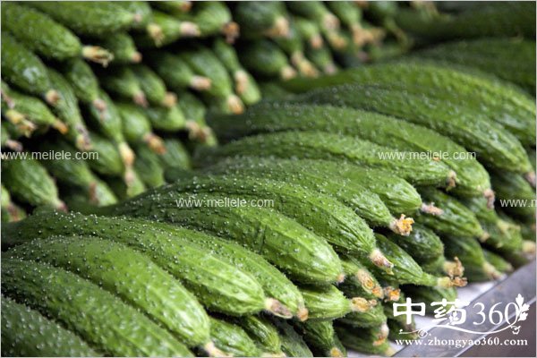 huangguadegongxiaoyuzuoyong