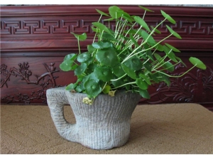 ��Ǯ����ˮ�ȵĹ�Ч ���ĵ���֪����