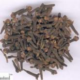 <a href='https://www.zhongyao360.com/z/dingxiang/' target='_blank'></a>