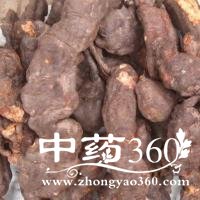 <a href='https://m.zhongyao360.com/z/heshouwu/'></a>