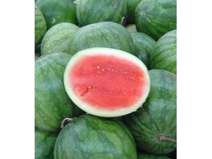 �����ܳ������� �ļ������ϰ��������Ҫע��