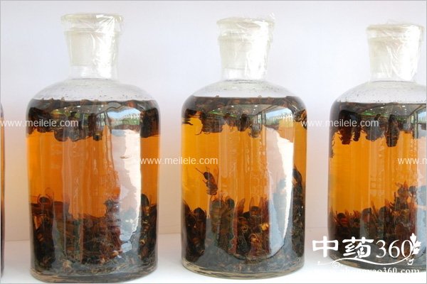 yagnshengyaojiupeifang