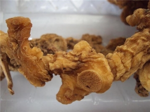 �ƾ���ʳ�Ʒ� �ƾ������Խ�Ѫ��