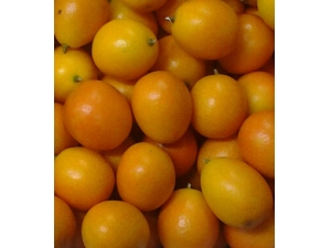 ˮ����Ӫ����ֵ �̵���ٵ�ʳ�ƹ�Ч