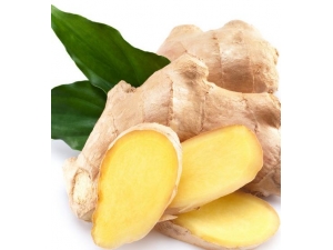 ������γԸ����� ��ѿ��������ʳ����