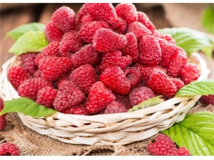 �����ӵĹ�Ч������ ��������ô��