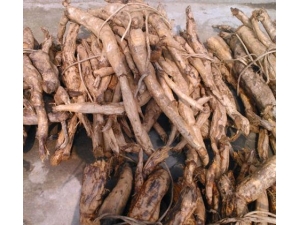 ����Ĺ�Ч������ �������Щʳ��