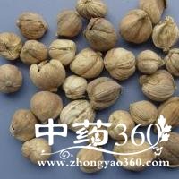 <a href='https://www.zhongyao360.com/z/doukou/' target='_blank'>��ޢ</a>