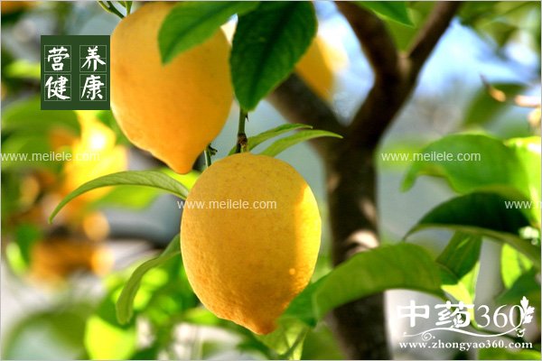 ningmengshuidegognxiaoyujinji