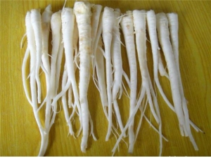 �۹�������Ч �۹�����ҩ��