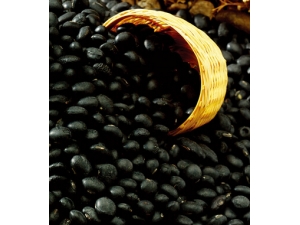 �����ʲô�� ������ʳ������Щ