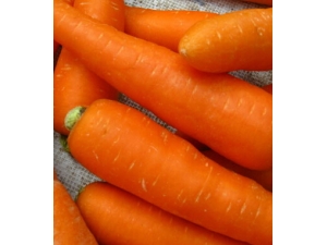 ���ܲ��Ĺ�Ч������ �����ڱ��������ɳ�