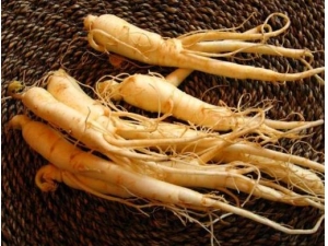 �˲εĹ�Ч������ �˲εĸ�����