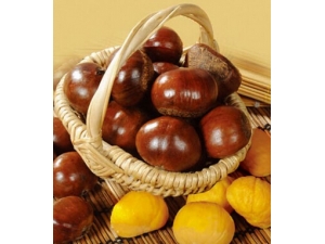 ��ʲô������ �Ƽ�������Ч����õ�ʳ��