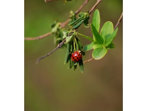 �����ʲô���� ���㴺�����˰ܻ�