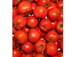 ɽ髵ĹЧ ɽ髽ѪѹʳֻѪ