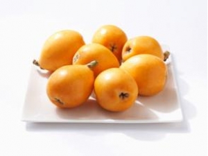 ��ҽ���������  ��ҽ���������