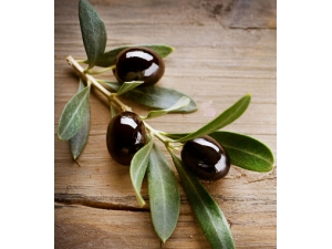 ��ʲô��˥�� ���ֿ�����ˮ�������㱣�ഺ