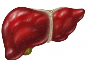 �����������������  5������Բ�����Ƿ񽡿�