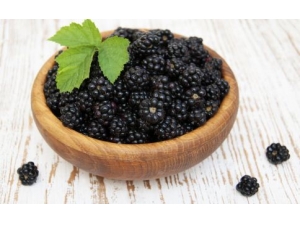 Ԥ���׷��������ϰ��  ��ҽ���ư׷�Сƫ��