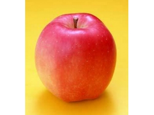 ƻ���Ĺ�Ч������ ƻ�����������չ�Ч