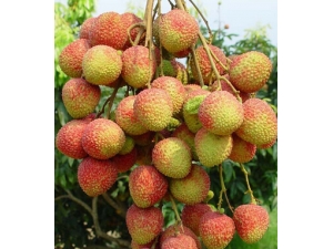 ˮ������ 9��ˮ������������˽����