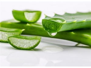 «�������ݹ�Ч «���ľ���������;