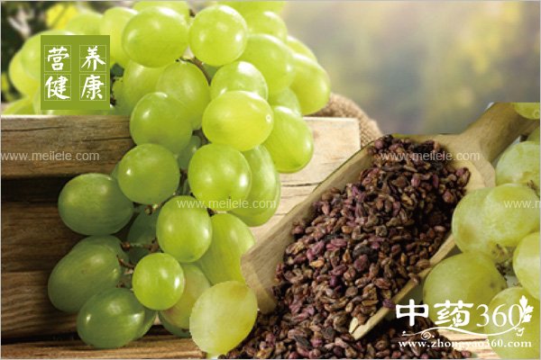 putaozidegongxiaoyuzuoyong